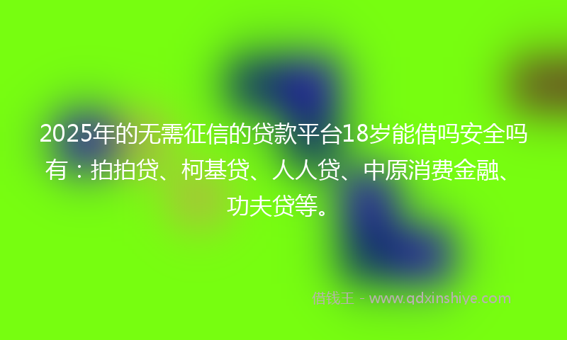 2025年的无需征信的贷款平台18岁能借吗安全吗有：拍拍贷、柯基贷、人人贷、中原消费金融、功夫贷等。