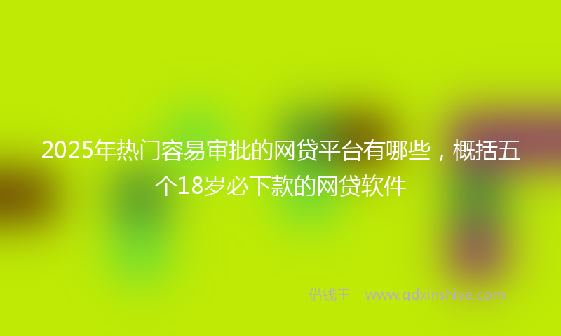 2025年热门容易审批的网贷平台有哪些，概括五个18岁必下款的网贷软件
