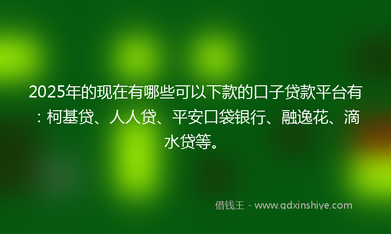 2025年的现在有哪些可以下款的口子贷款平台有：柯基贷、人人贷、平安口袋银行、融逸花、滴水贷等。