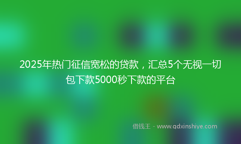 2025年热门征信宽松的贷款，汇总5个无视一切包下款5000秒下款的平台