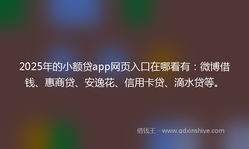 2025年的小额贷app网页入口在哪看有：微博借钱、惠商贷、安逸花、信用卡贷、滴水贷等。