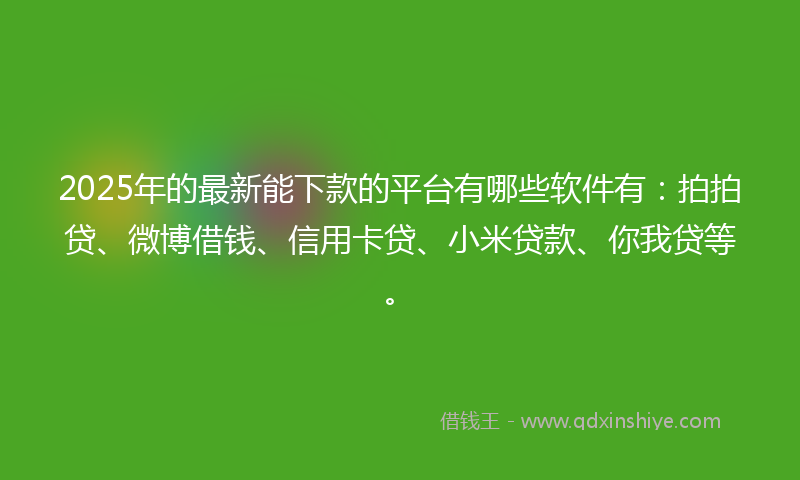 2025年的最新能下款的平台有哪些软件有：拍拍贷、微博借钱、信用卡贷、小米贷款、你我贷等。