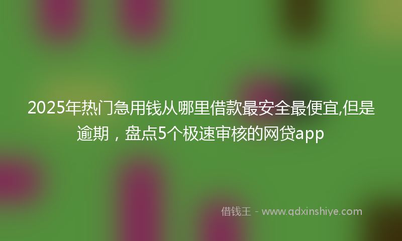 2025年热门急用钱从哪里借款最安全最便宜,但是逾期，盘点5个极速审核的网贷app