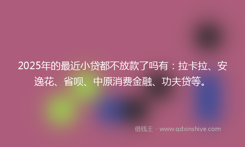 2025年的最近小贷都不放款了吗有：拉卡拉、安逸花、省呗、中原消费金融、功夫贷等。