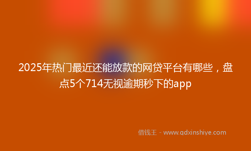 2025年热门最近还能放款的网贷平台有哪些，盘点5个714无视逾期秒下的app