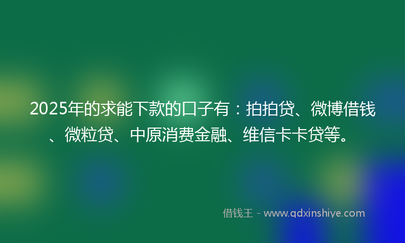 2025年的求能下款的口子有：拍拍贷、微博借钱、微粒贷、中原消费金融、维信卡卡贷等。