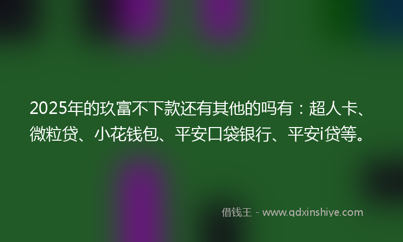 2025年的玖富不下款还有其他的吗有：超人卡、微粒贷、小花钱包、平安口袋银行、平安i贷等。