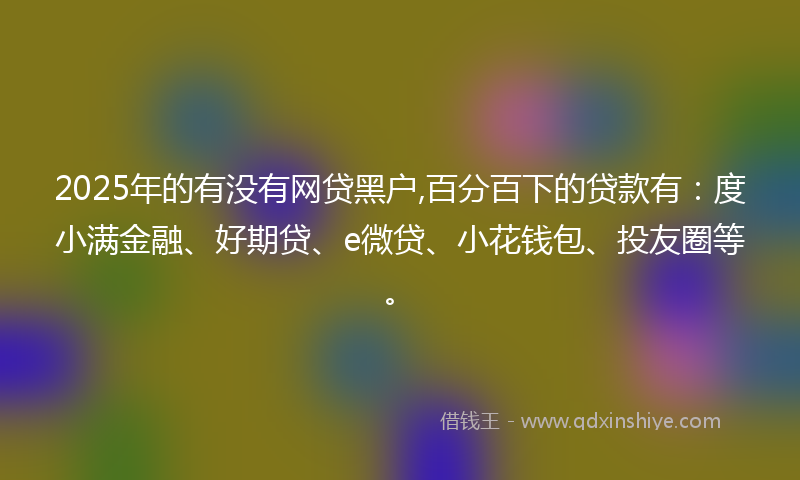 2025年的有没有网贷黑户,百分百下的贷款有：度小满金融、好期贷、e微贷、小花钱包、投友圈等。