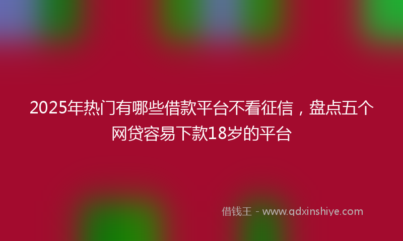 2025年热门有哪些借款平台不看征信，盘点五个网贷容易下款18岁的平台