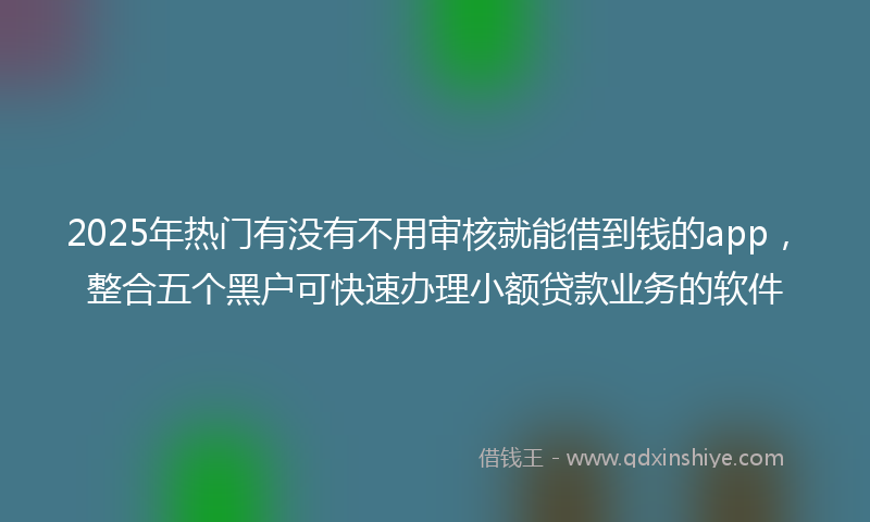 2025年热门有没有不用审核就能借到钱的app，整合五个黑户可快速办理小额贷款业务的软件