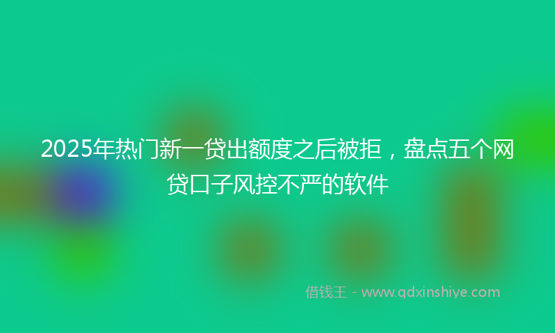 2025年热门新一贷出额度之后被拒，盘点五个网贷口子风控不严的软件