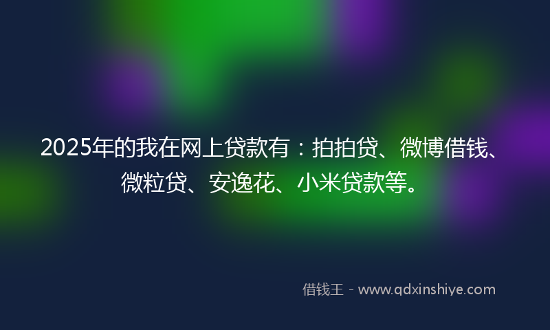 2025年的我在网上贷款有:拍拍贷、微博借钱、微粒贷、安逸花、小米贷款等。