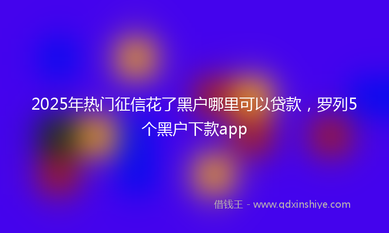 2025年热门征信花了黑户哪里可以贷款，罗列5个黑户下款app
