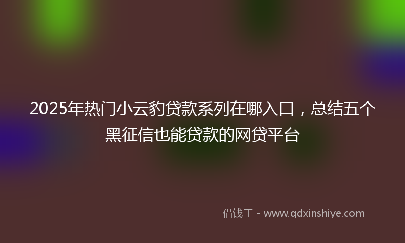 2025年热门小云豹贷款系列在哪入口，总结五个黑征信也能贷款的网贷平台