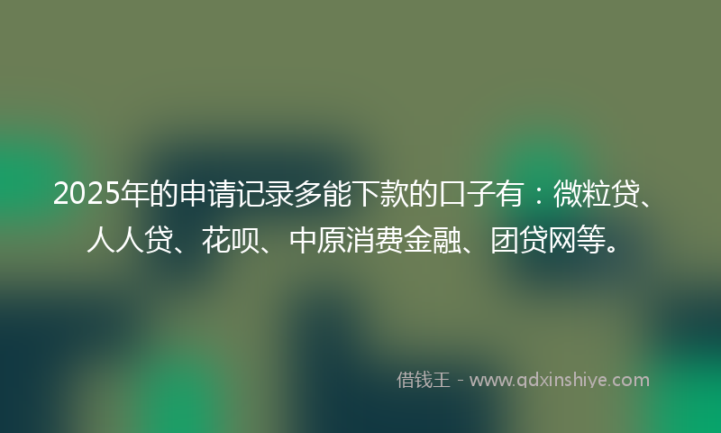2025年的申请记录多能下款的口子有：微粒贷、人人贷、花呗、中原消费金融、团贷网等。