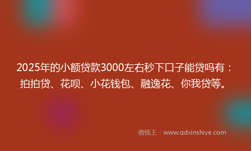 2025年的小额贷款3000左右秒下口子能贷吗有：拍拍贷、花呗、小花钱包、融逸花、你我贷等。