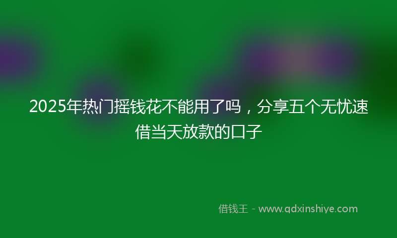 2025年热门摇钱花不能用了吗，分享五个无忧速借当天放款的口子