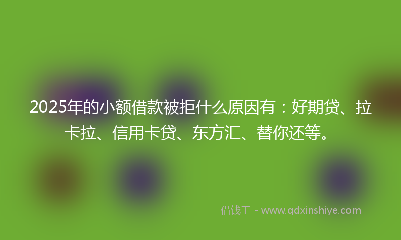 2025年的小额借款被拒什么原因有：好期贷、拉卡拉、信用卡贷、东方汇、替你还等。