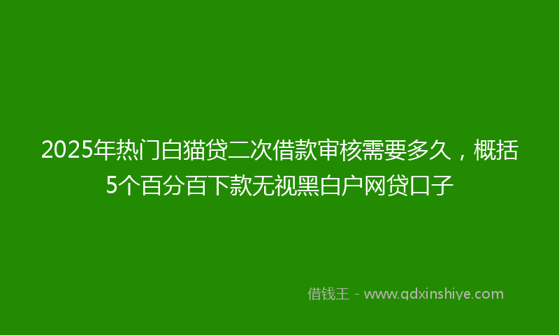 2025年热门白猫贷二次借款审核需要多久，概括5个百分百下款无视黑白户网贷口子