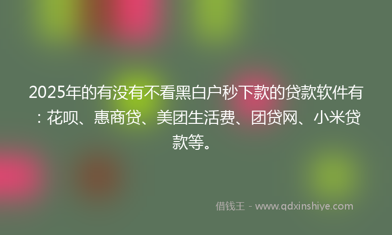 2025年的有没有不看黑白户秒下款的贷款软件有：花呗、惠商贷、美团生活费、团贷网、小米贷款等。