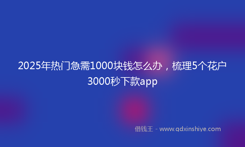 2025年热门急需1000块钱怎么办，梳理5个花户3000秒下款app