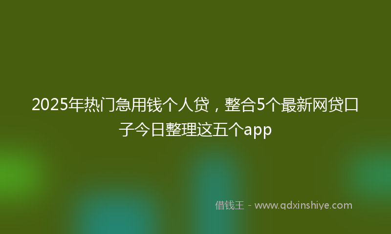2025年热门急用钱个人贷，整合5个最新网贷口子今日整理这五个app