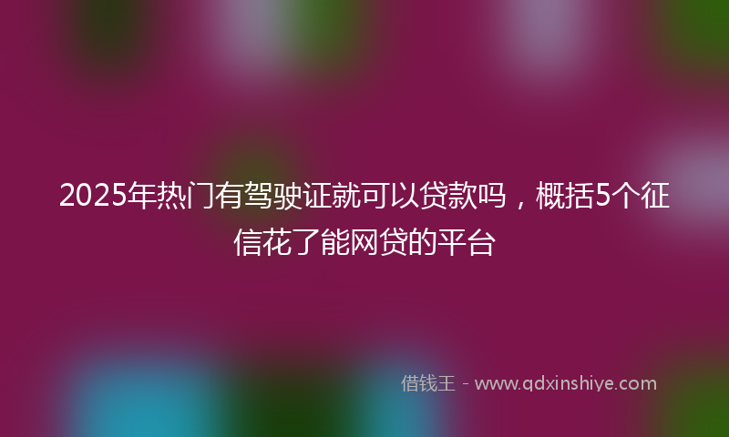2025年热门有驾驶证就可以贷款吗，概括5个征信花了能网贷的平台