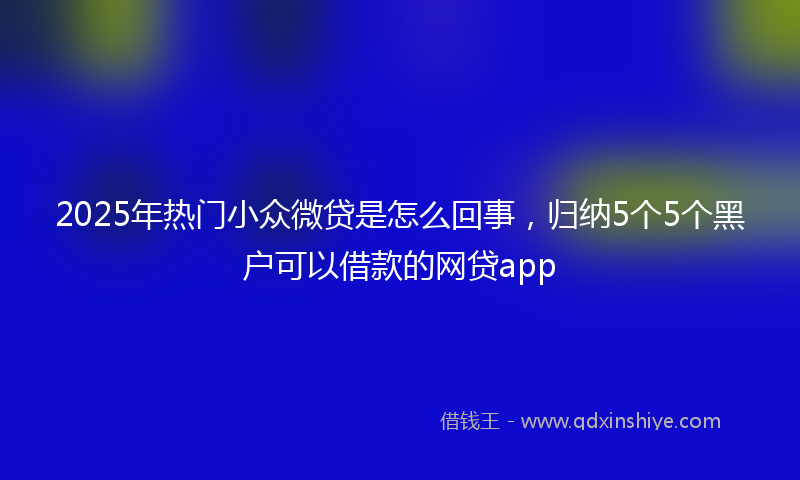 2025年热门小众微贷是怎么回事，归纳5个5个黑户可以借款的网贷app