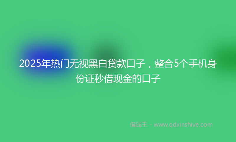 2025年热门无视黑白贷款口子，整合5个手机身份证秒借现金的口子