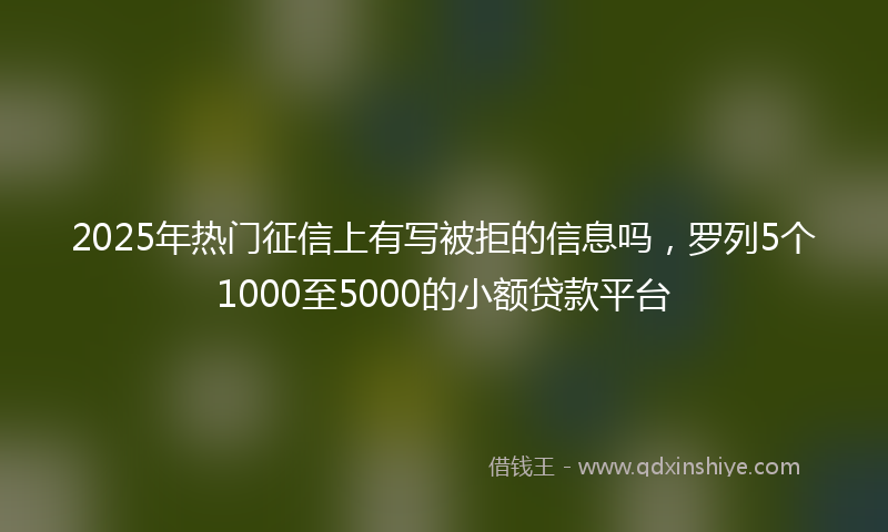 2025年热门征信上有写被拒的信息吗，罗列5个1000至5000的小额贷款平台