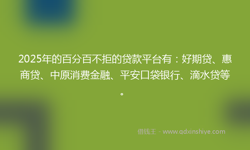 2025年的百分百不拒的贷款平台有：好期贷、惠商贷、中原消费金融、平安口袋银行、滴水贷等。