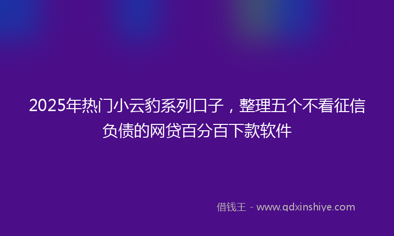 2025年热门小云豹系列口子，整理五个不看征信负债的网贷百分百下款软件