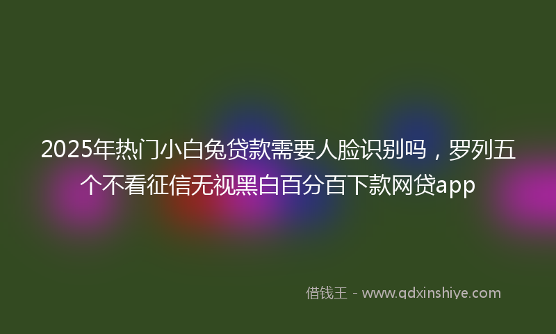 2025年热门小白兔贷款需要人脸识别吗，罗列五个不看征信无视黑白百分百下款网贷app