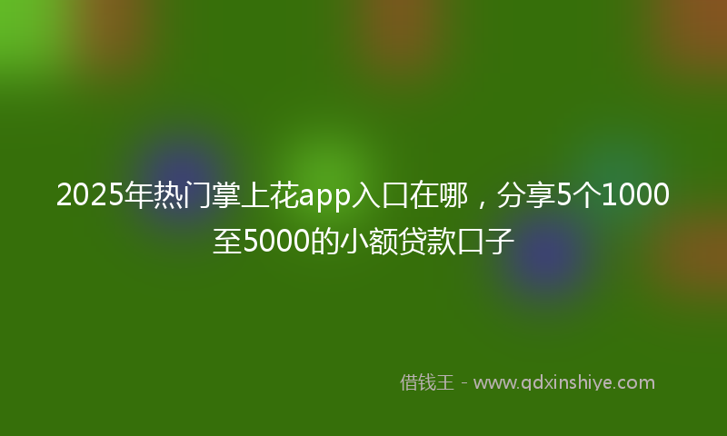 2025年热门掌上花app入口在哪，分享5个1000至5000的小额贷款口子