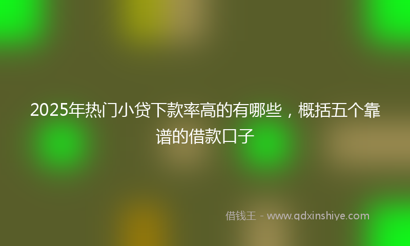 2025年热门小贷下款率高的有哪些，概括五个靠谱的借款口子