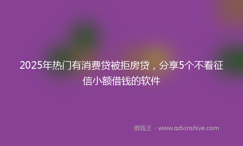 2025年热门有消费贷被拒房贷，分享5个不看征信小额借钱的软件