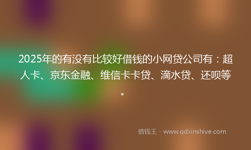 2025年的有没有比较好借钱的小网贷公司有：超人卡、京东金融、维信卡卡贷、滴水贷、还呗等。