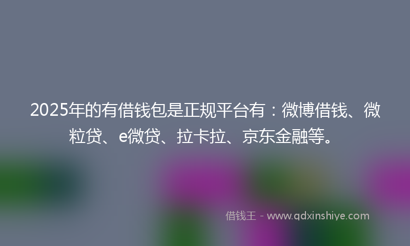 2025年的有借钱包是正规平台有：微博借钱、微粒贷、e微贷、拉卡拉、京东金融等。