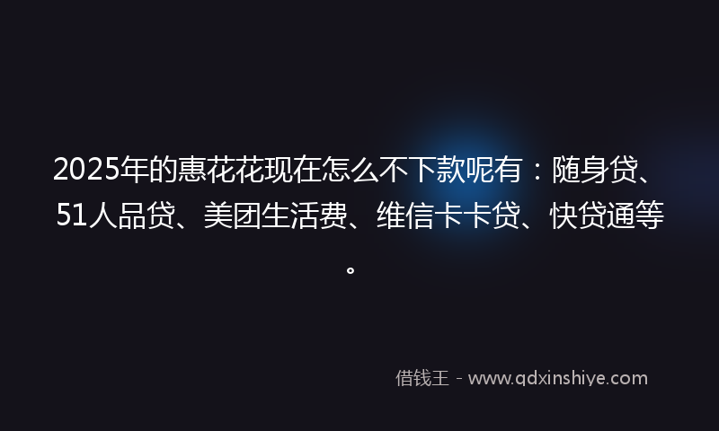2025年的惠花花现在怎么不下款呢有：随身贷、51人品贷、美团生活费、维信卡卡贷、快贷通等。