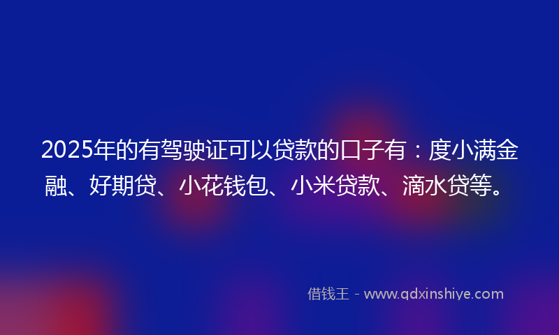 2025年的有驾驶证可以贷款的口子有：度小满金融、好期贷、小花钱包、小米贷款、滴水贷等。