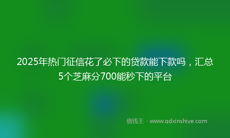 2025年热门征信花了必下的贷款能下款吗，汇总5个芝麻分700能秒下的平台