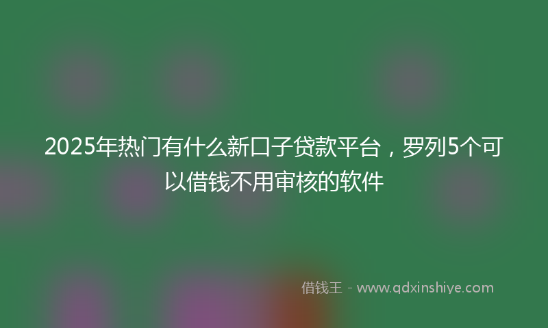 2025年热门有什么新口子贷款平台，罗列5个可以借钱不用审核的软件