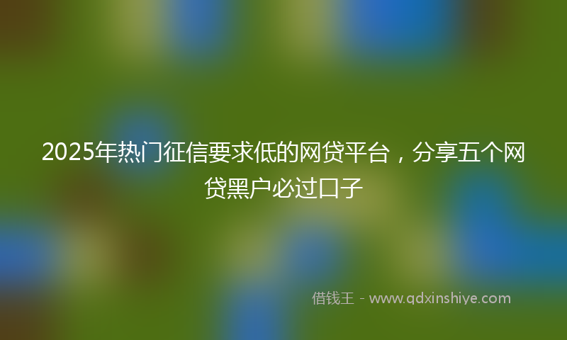 2025年热门征信要求低的网贷平台，分享五个网贷黑户必过口子