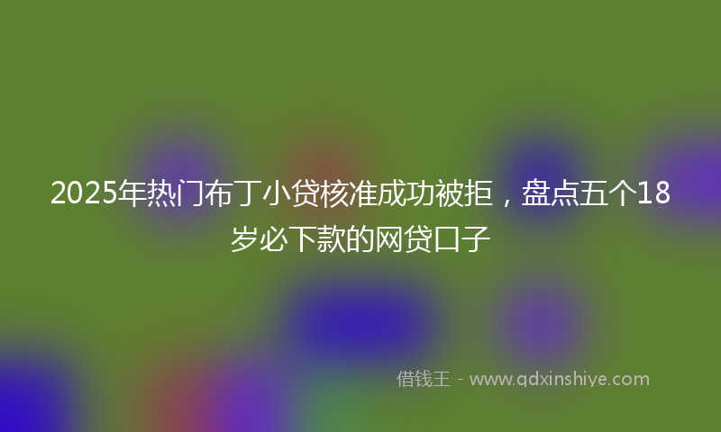 2025年热门布丁小贷核准成功被拒，盘点五个18岁必下款的网贷口子