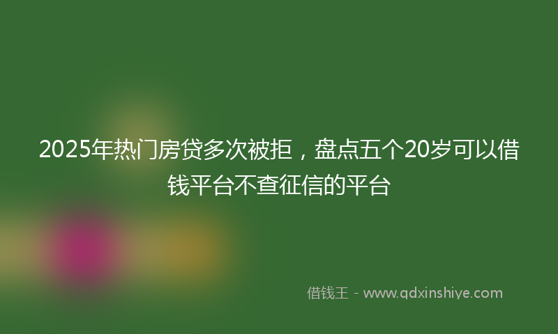 2025年热门房贷多次被拒，盘点五个20岁可以借钱平台不查征信的平台