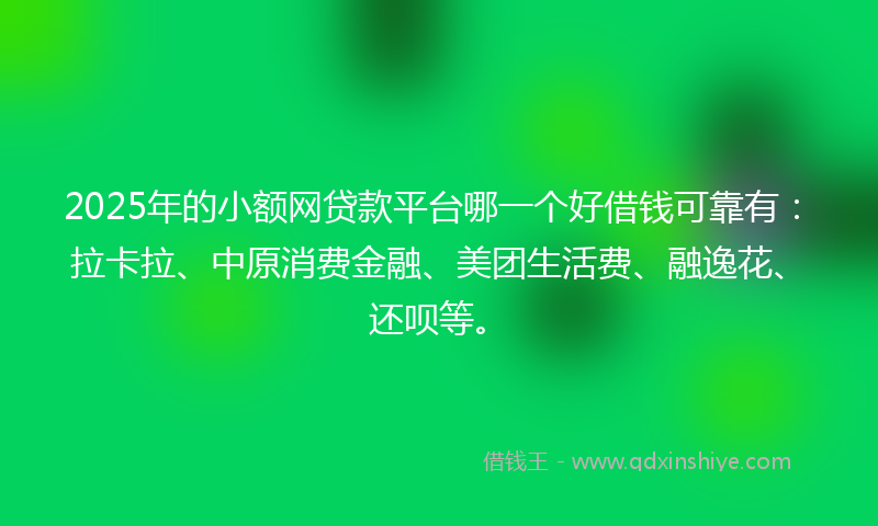2025年的小额网贷款平台哪一个好借钱可靠有：拉卡拉、中原消费金融、美团生活费、融逸花、还呗等。