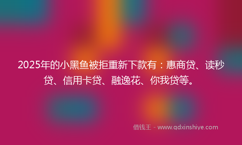 2025年的小黑鱼被拒重新下款有：惠商贷、读秒贷、信用卡贷、融逸花、你我贷等。
