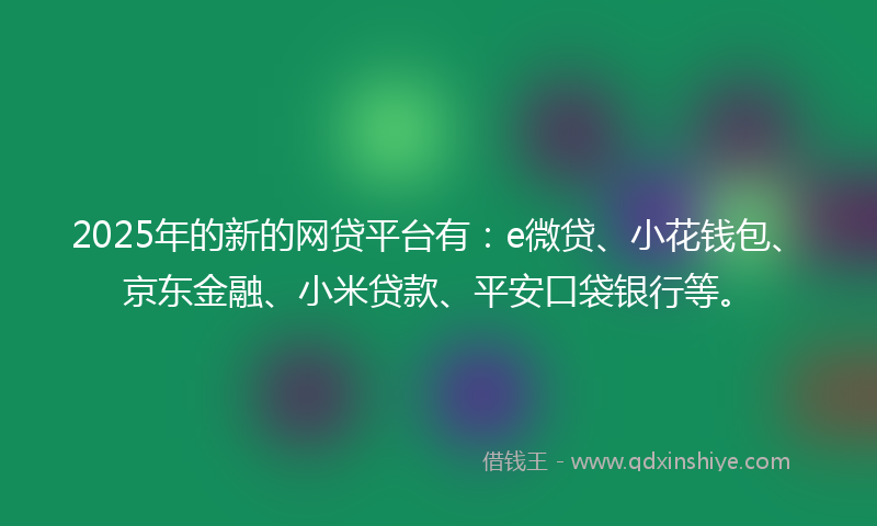 2025年的新的网贷平台有：e微贷、小花钱包、京东金融、小米贷款、平安口袋银行等。