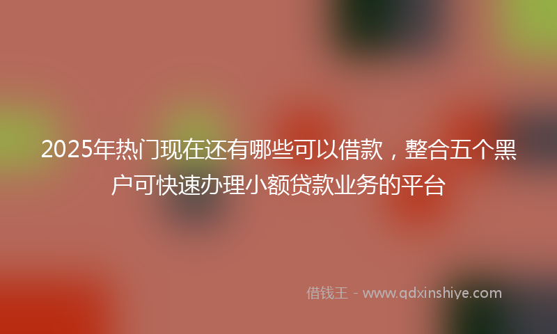 2025年热门现在还有哪些可以借款，整合五个黑户可快速办理小额贷款业务的平台