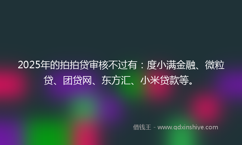 2025年的拍拍贷审核不过有：度小满金融、微粒贷、团贷网、东方汇、小米贷款等。